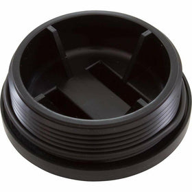 Pentair 195829 2-Inch All Purpose Plug with O-Ring - 0