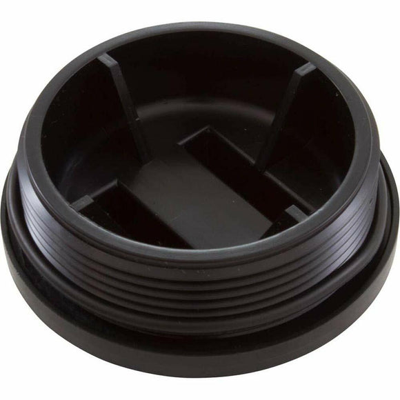 Pentair 195829 2-Inch All Purpose Plug with O-Ring