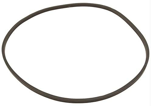Pentair 355329Z O-Ring, Black