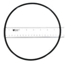Pentair 355619Z O-Ring, Black-2