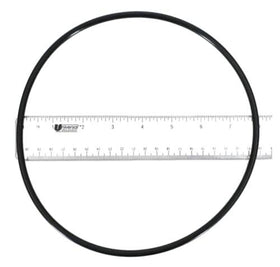 Pentair 355619Z O-Ring, Black - 0