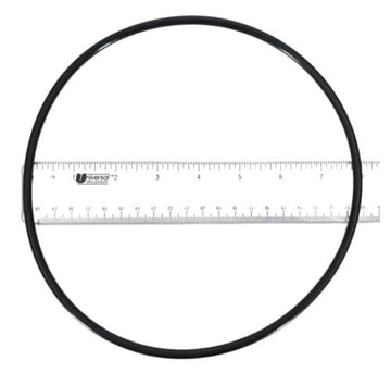 Pentair 355619Z O-Ring, Black - 0