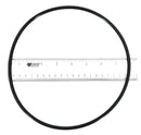 Pentair 355619Z O-Ring, Black-1