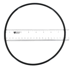 Pentair 355619Z O-Ring, Black