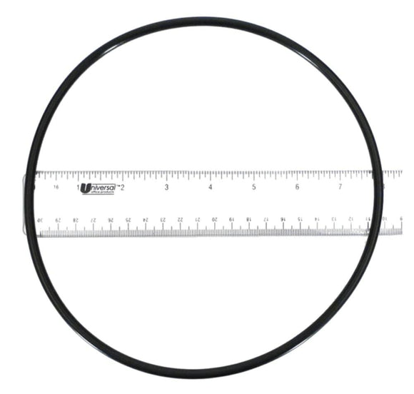 Pentair 355619Z O-Ring, Black