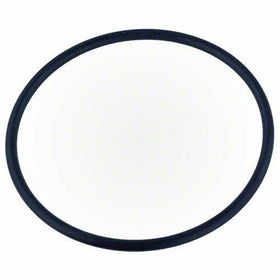 Pentair 355331 Diffuser / Challenger O-Ring