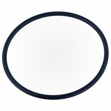 Pentair 355331 Diffuser / Challenger O-Ring