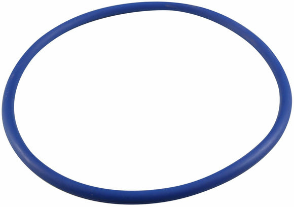 Pentair O-Ring, IF3/IP3 VSF, Trap Lid 356189Z