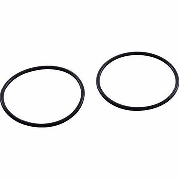 Zodiac R0449200 O-Ring with Tail Piece