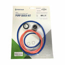 Pentair Intelliflo3 & IntelliPro3 VSF Variable Speed and Flow Pumps Seal Replacement Kit | 3 HP Models | 357872-1