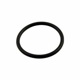 Pentair U9-374Z O-Ring, Black