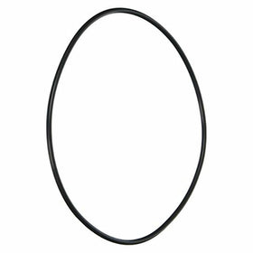 Pentair LA415 Seal Bracket O-Ring for Universal Booster Pool or Spa Pump