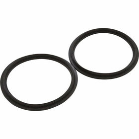 Pentair Diamond Seal Kit 2.5 inch Inc. 2 Seals 410016Z - 0