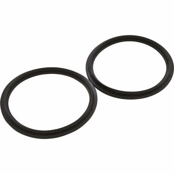 Pentair Diamond Seal Kit 2.5 inch Inc. 2 Seals 410016Z - 0