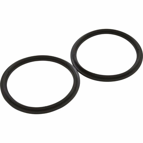 Pentair Diamond Seal Kit 2.5 inch Inc. 2 Seals 410016Z