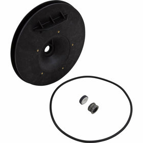 Pentair C203-193P Seal Plate Replacement Kit Sta-Rite Pool and Spa Inground Pump