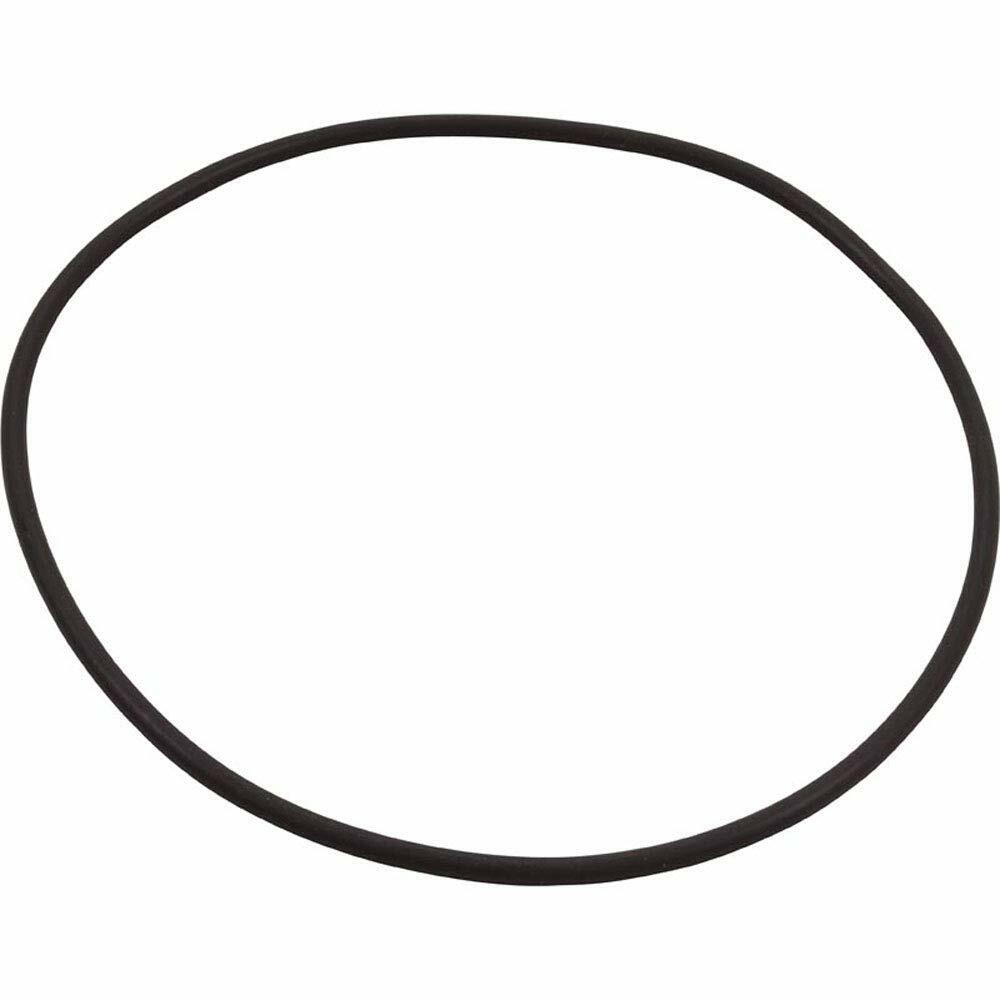 Pentair C203-193P Seal Plate Replacement Kit Sta-Rite Pool and Spa Inground Pump