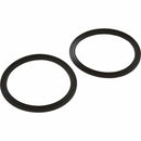 Pentair Diamond Seal Kit 2.5 inch Inc. 2 Seals 410016Z-1
