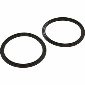 Pentair Diamond Seal Kit 2.5 inch Inc. 2 Seals 410016Z