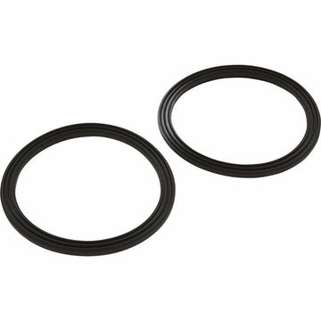 Pentair Diamond Seal Kit 2.5 inch Inc. 2 Seals 410016Z