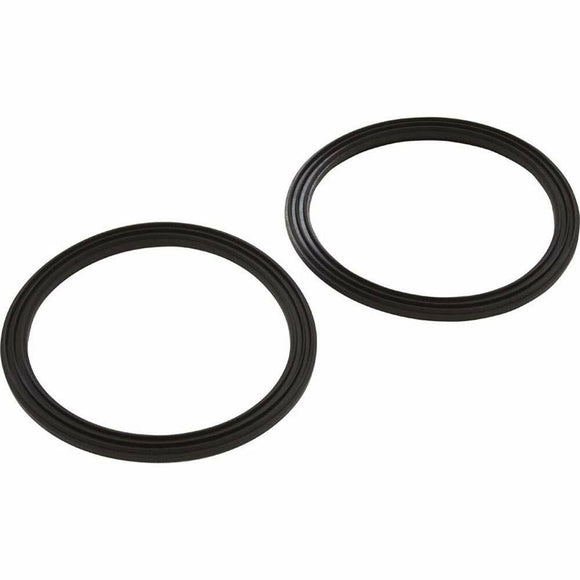 Pentair Diamond Seal Kit 2.5 inch Inc. 2 Seals 410016Z