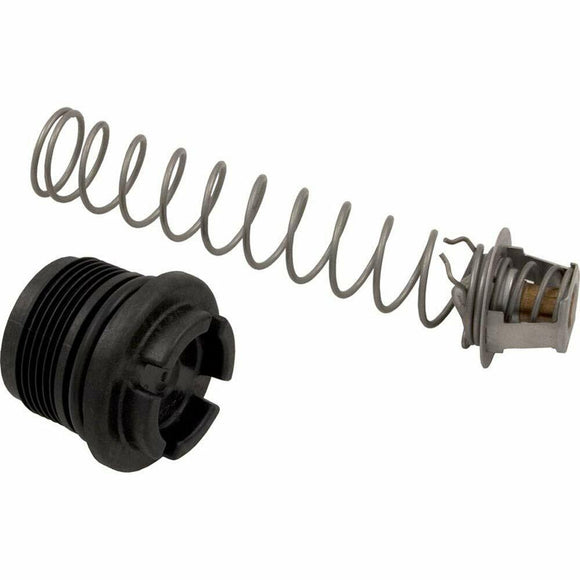 Pentair 77707-0010 Thermal Regulator Replacement Kit Pool and Spa Heater