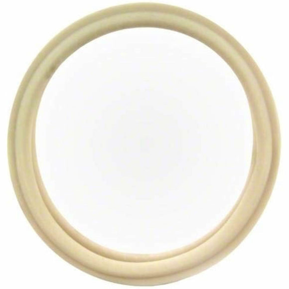 Pentair 79108500Z Gasket, White