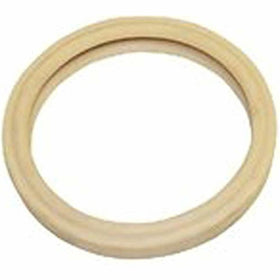 Pentair 79108500Z Gasket, White