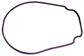 Replacement fits R0555900 G-413-9 Body Gasket Replacement for Select Zodiac Jandy JHP Series Pump