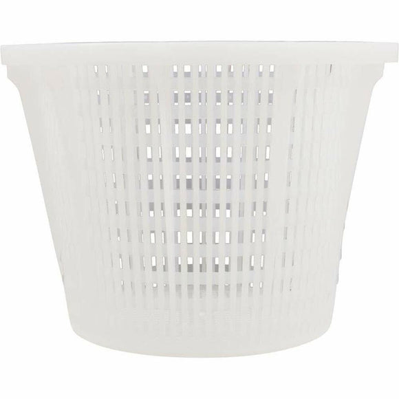 Pentair Basket Skimmer Molded S20