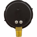 Pentair 190058 Gauge, Pressure, 1/4-4