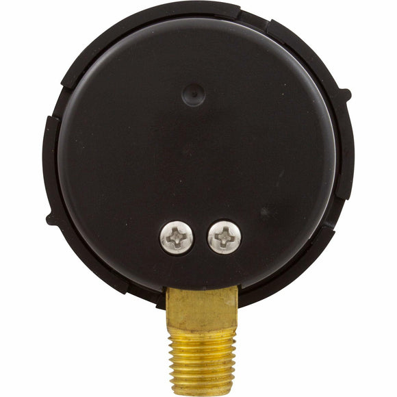 Pentair 190058 Gauge, Pressure, 1/4