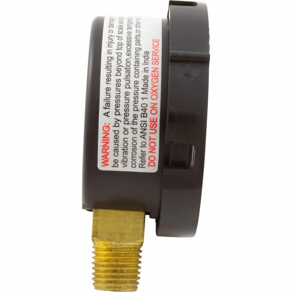 Pentair 190058 Gauge, Pressure, 1/4