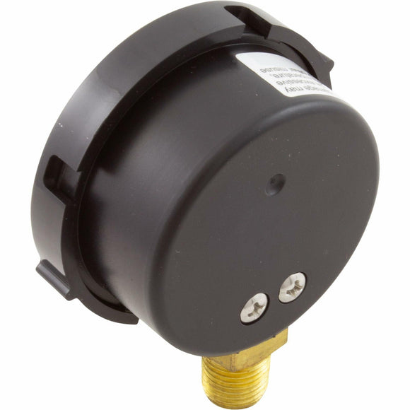 Pentair 190058 Gauge, Pressure, 1/4