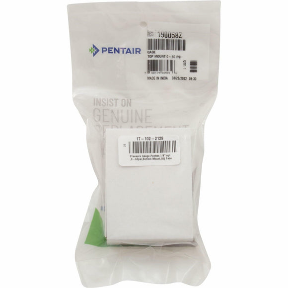 Pentair 190058 Gauge, Pressure, 1/4
