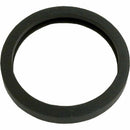 Pentair 05601-0005 Door Gasket Sunlite-1