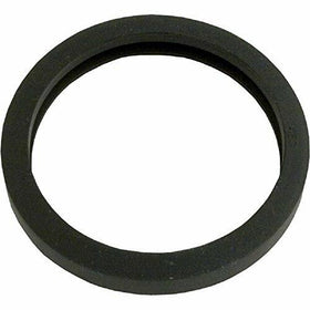 Pentair 05601-0005 Door Gasket Sunlite - 0
