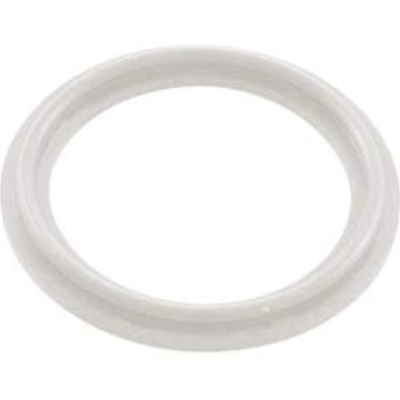 Waterway 25-350-4030 2" Heater O-Ring Gasket, 711-4030 - Getlegitdeals