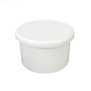 Waterway Plug 2in.Spig - Getlegitdeals