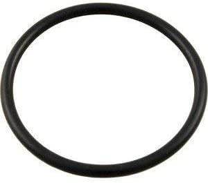Pentair 350013Z Lid O-Ring, Black - Getlegitdeals