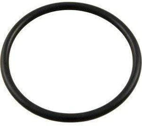 Pentair 350013Z Lid O-Ring, Black - Getlegitdeals
