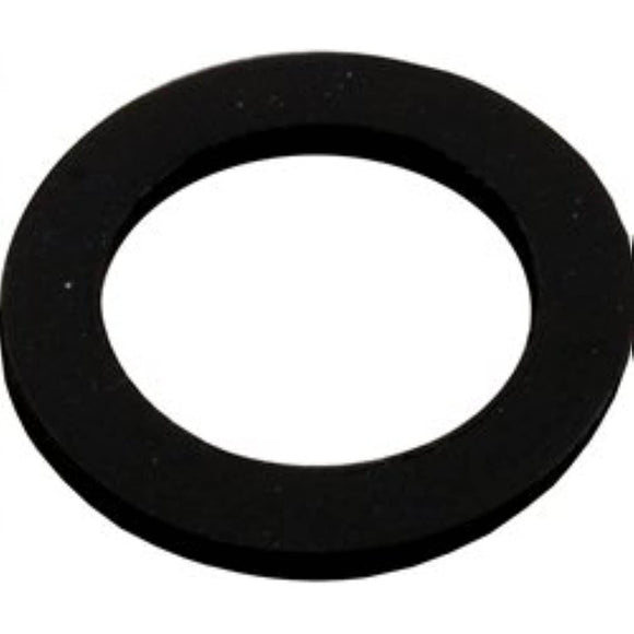Pentair 154713 Sand Drain Gasket - Getlegitdeals