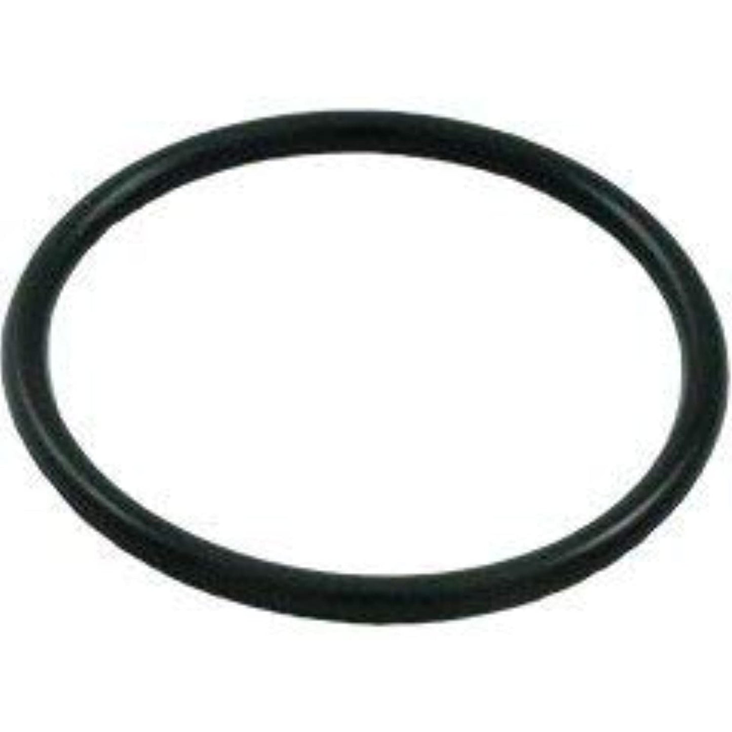 Aladdin O-393 Tahitian Filter Neck O-ring Repl. Purex/Pac Fab/Triton P-24306/71448