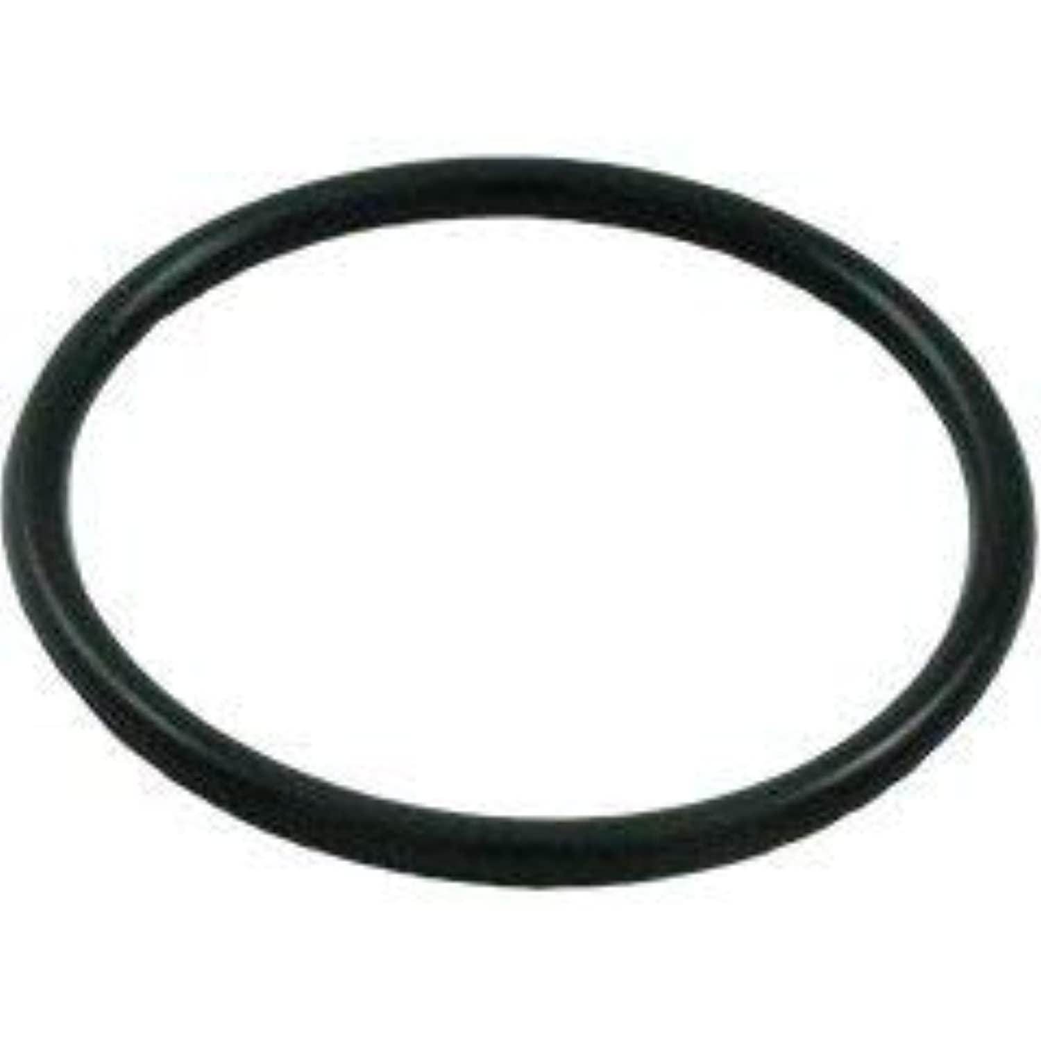 Aladdin O-391 Crystal Water DE Filter Slide Valve Top Nut O-ring (2 Required) Repl. Waterway Plastics 805-0206 - Getlegitdeals