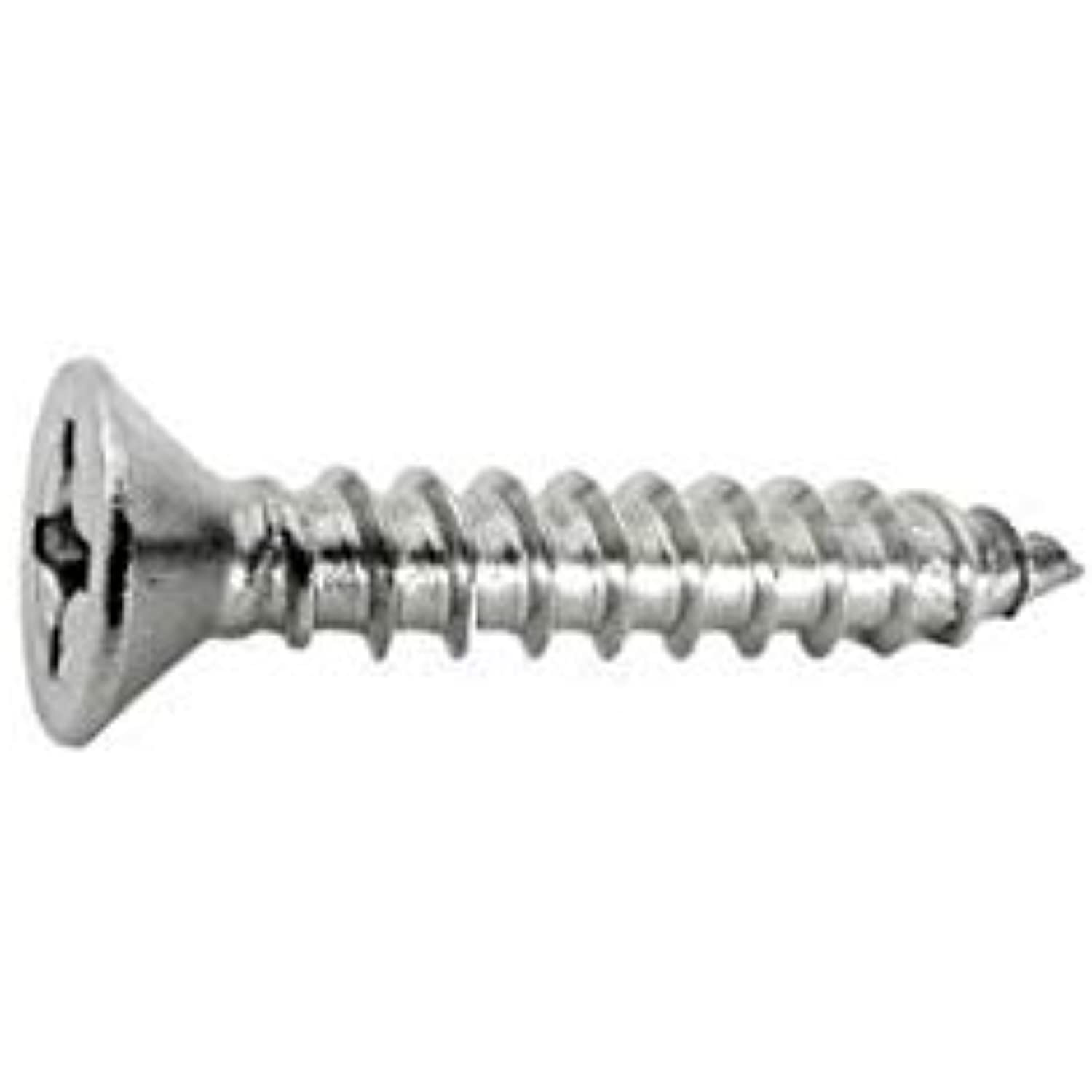 Waterway Plastics 806105136381 12 x 1 1/4" PFH & PGH Screw - Getlegitdeals