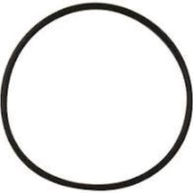 Aladdin O-419 Challenger Seal Plate Pump Housing O-ring-Waterfall Pump Repl. Pac Fab 355329 - Getlegitdeals