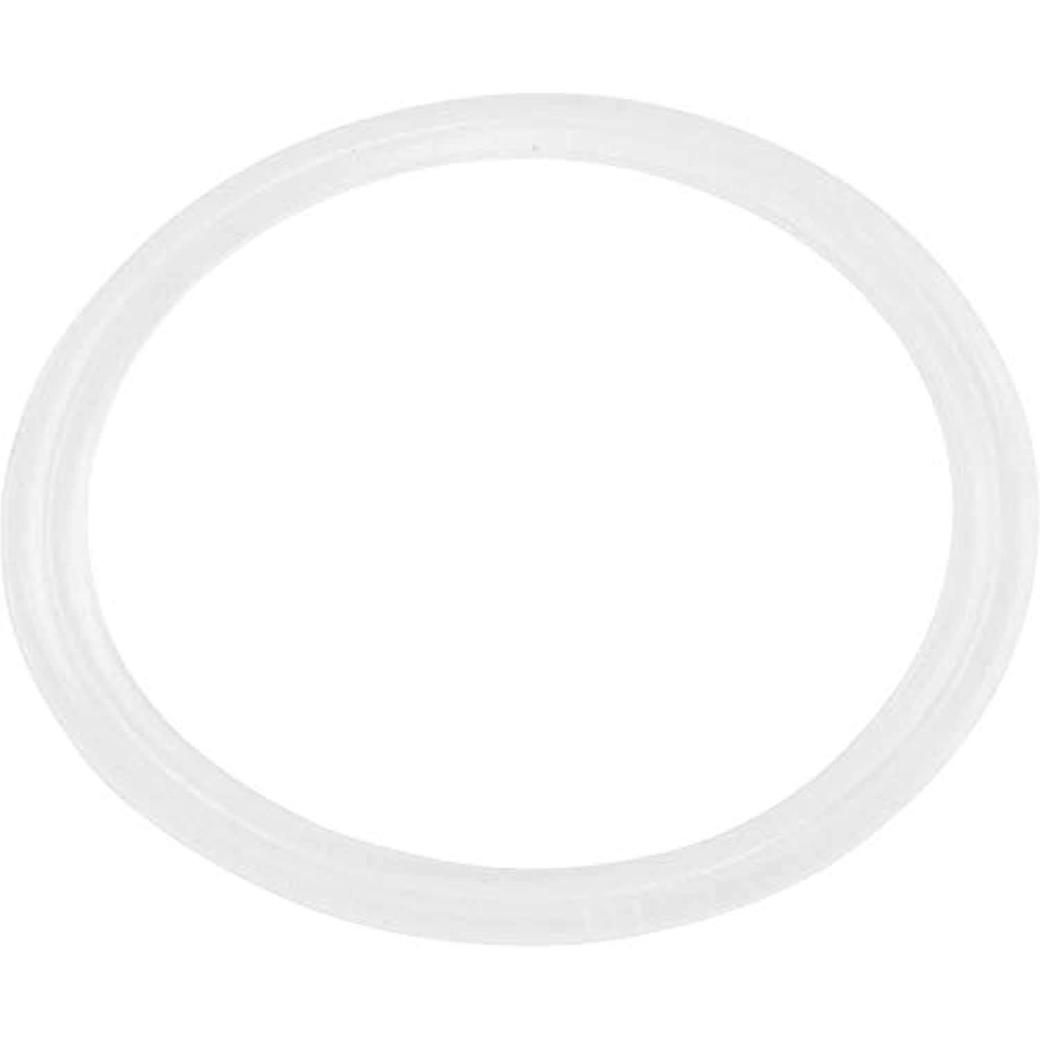 Waterway Plastics Flat Gasket, 1" Diverter Valve - Getlegitdeals