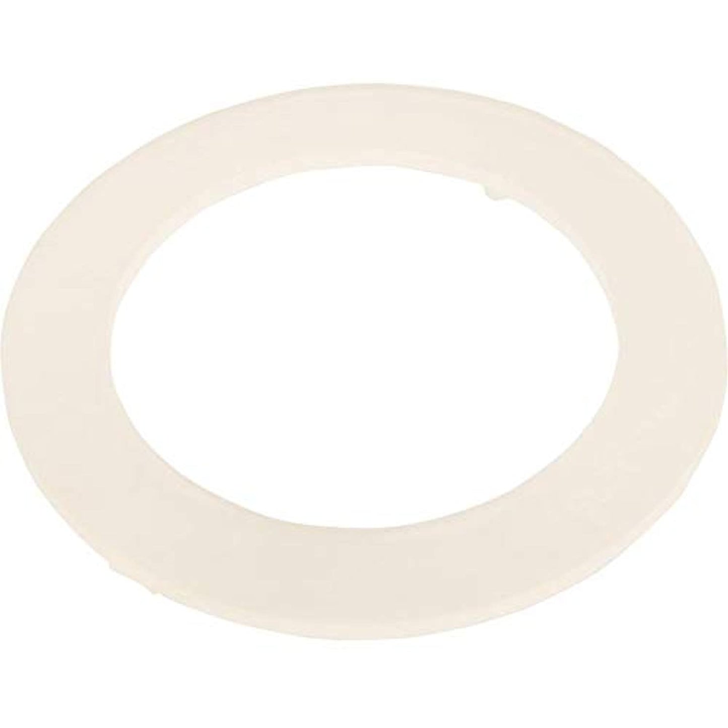 Waterway Plastics WW7113250 Flat Gasket for Maxi-Flo & Super Hi-Flo Suctions