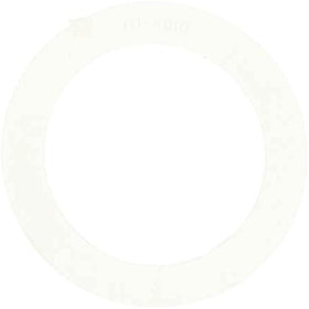 Waterway 711-4010 Waterway O-Ring For 2 in. Union - Getlegitdeals