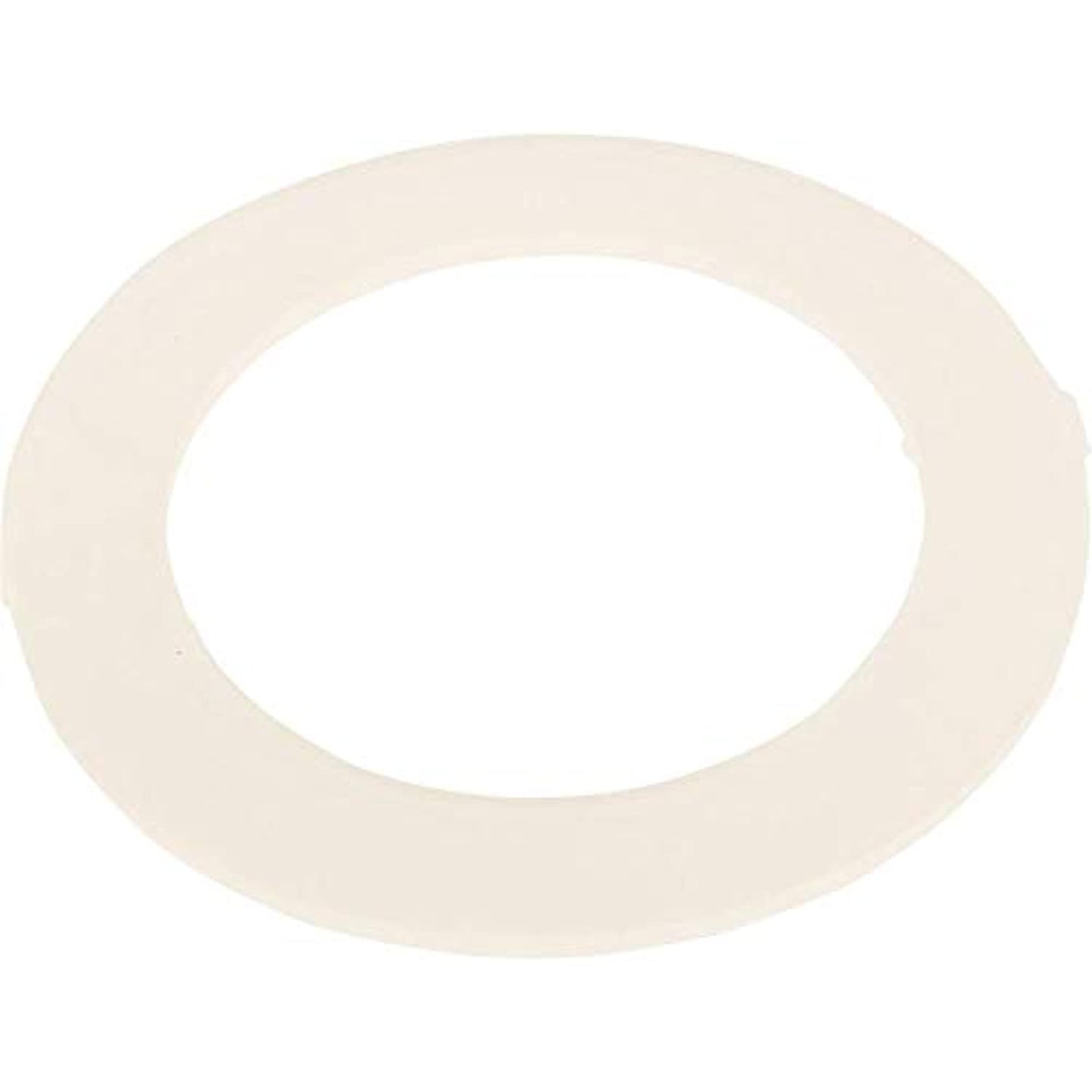 Waterway Plastics WW7113250 Flat Gasket for Maxi-Flo & Super Hi-Flo Suctions